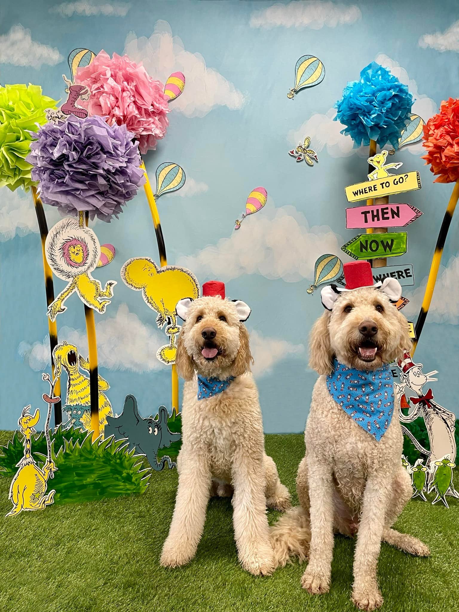 Toule de Fond Beau Ciel Nuages Blancs pour la Photographie Nouveau-Né Nb-367
