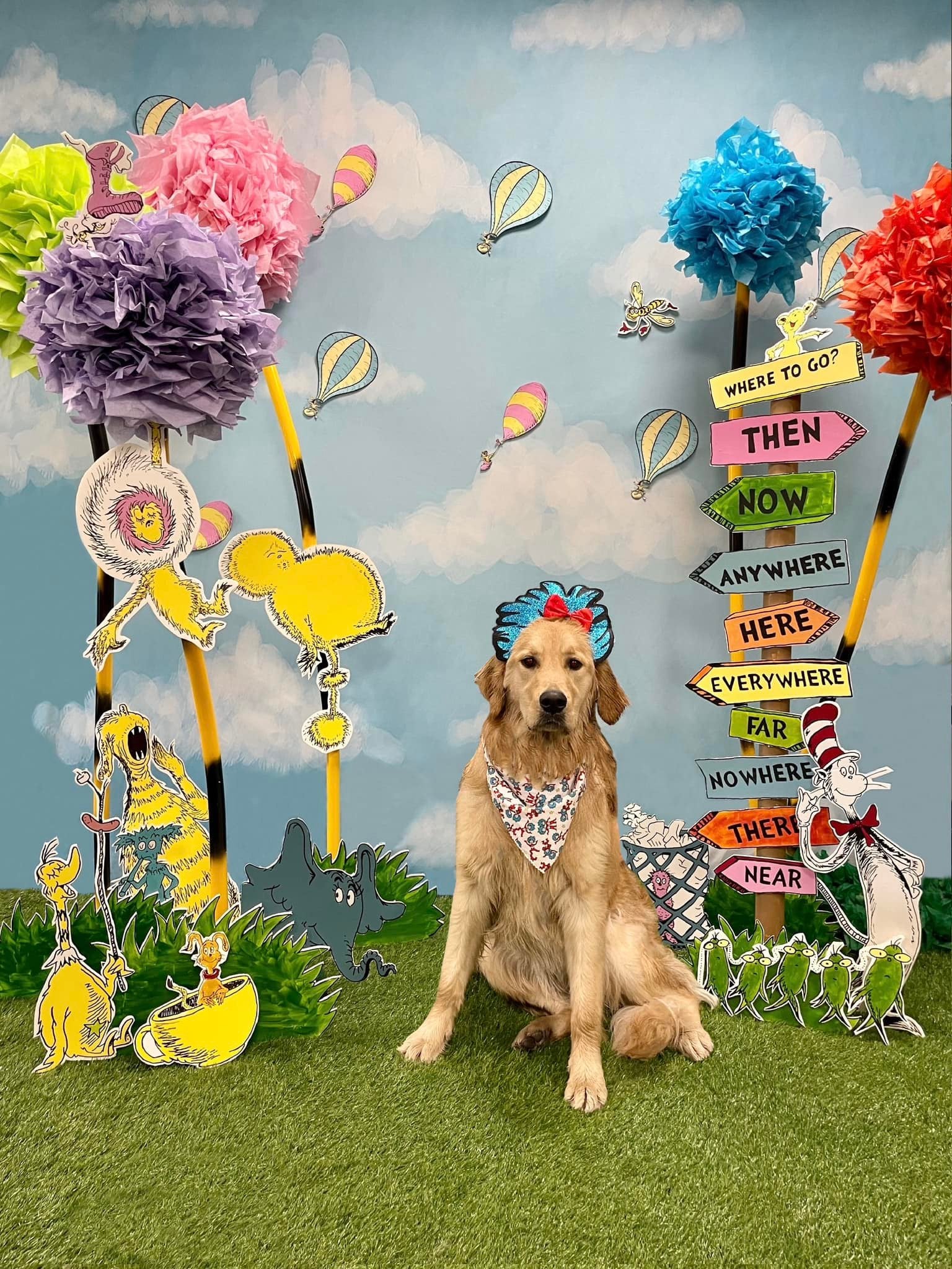 Toule de Fond Beau Ciel Nuages Blancs pour la Photographie Nouveau-Né Nb-367