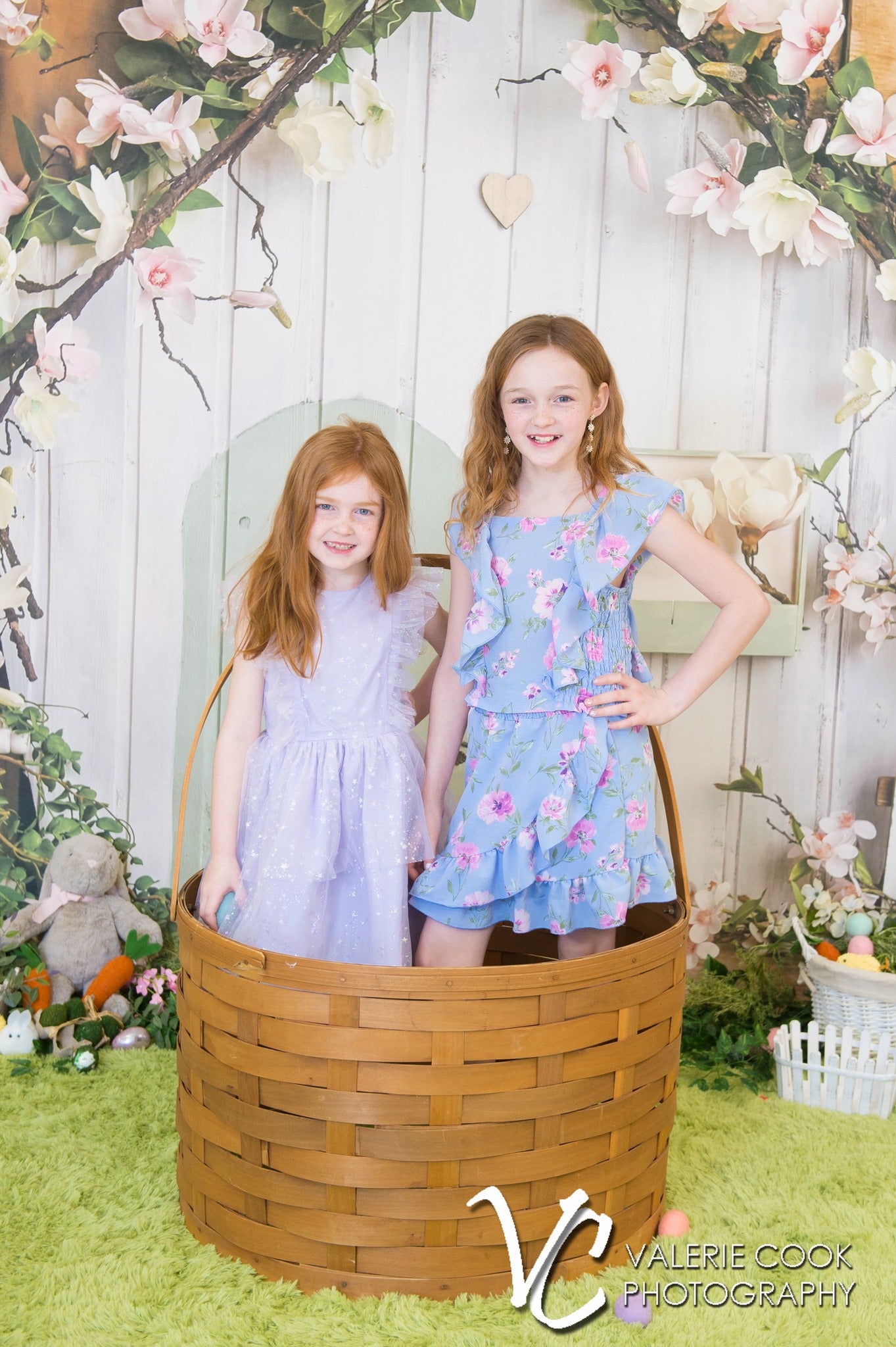 Toile de fond de Printemps Maison Rustique Fleurs Roses D1055