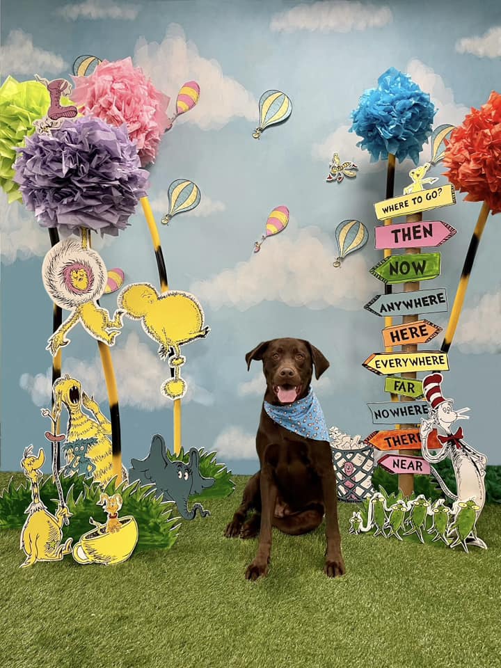 Toule de Fond Beau Ciel Nuages Blancs pour la Photographie Nouveau-Né Nb-367