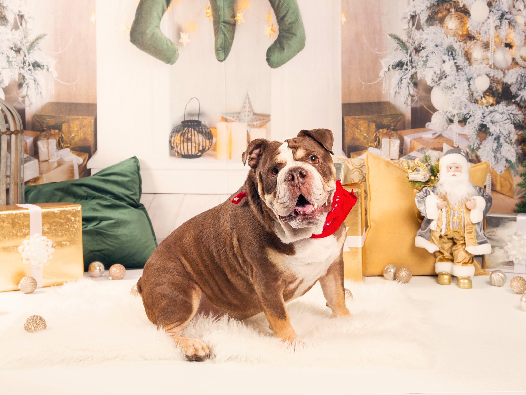 Arbre de Noël Chaussettes Cheminée Porte Toile de Fond D940