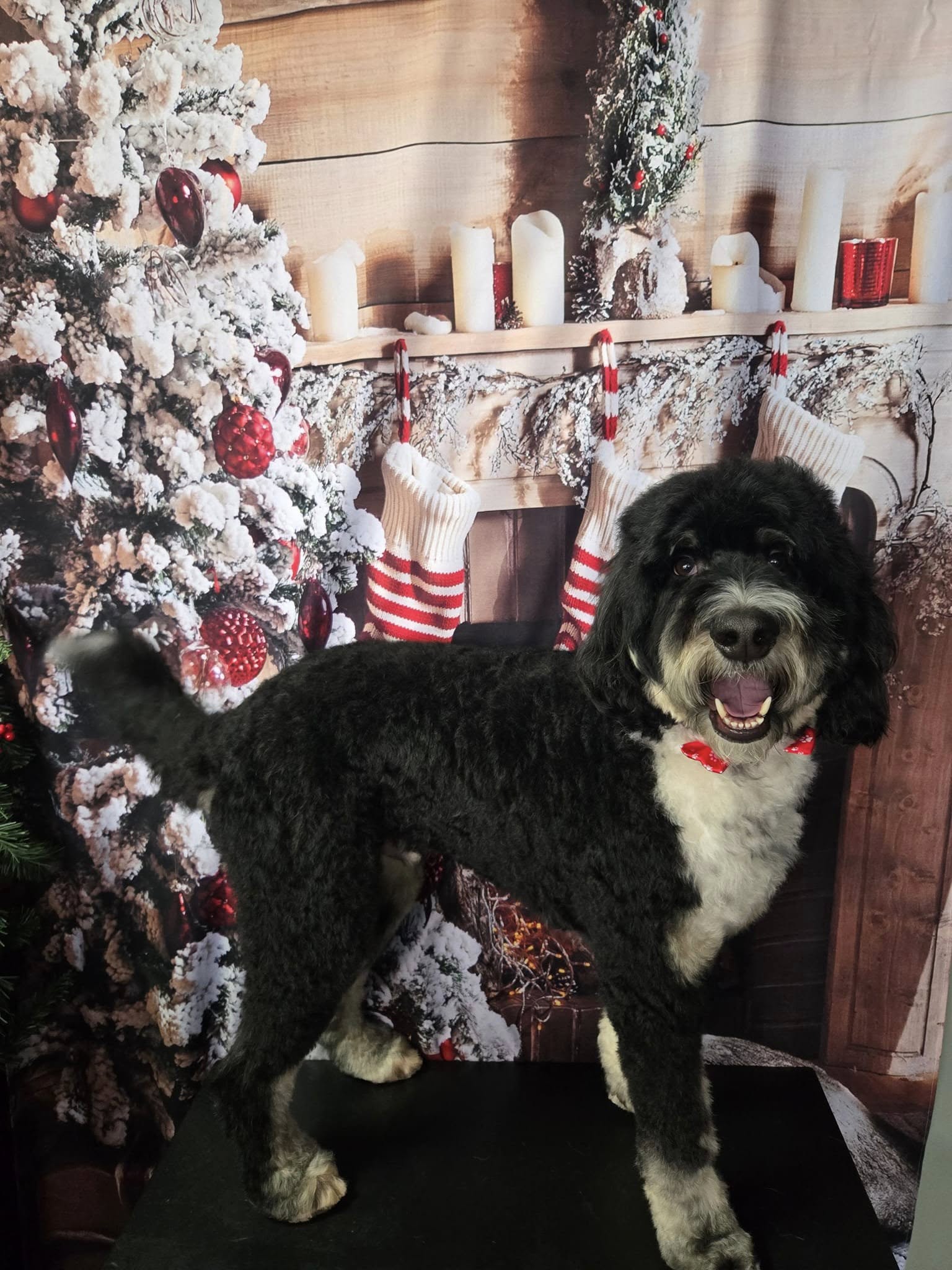 Toile de fond de décoration de cheminée d'arbre de Noël pour la séance photo KAT-63