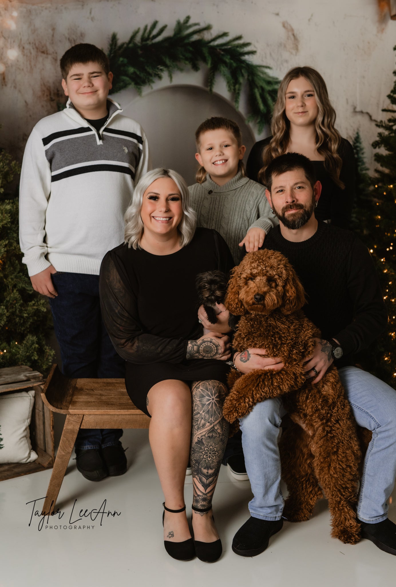 Toile de Fond Arche de Sapin de Noël pour Photographie RR8-347