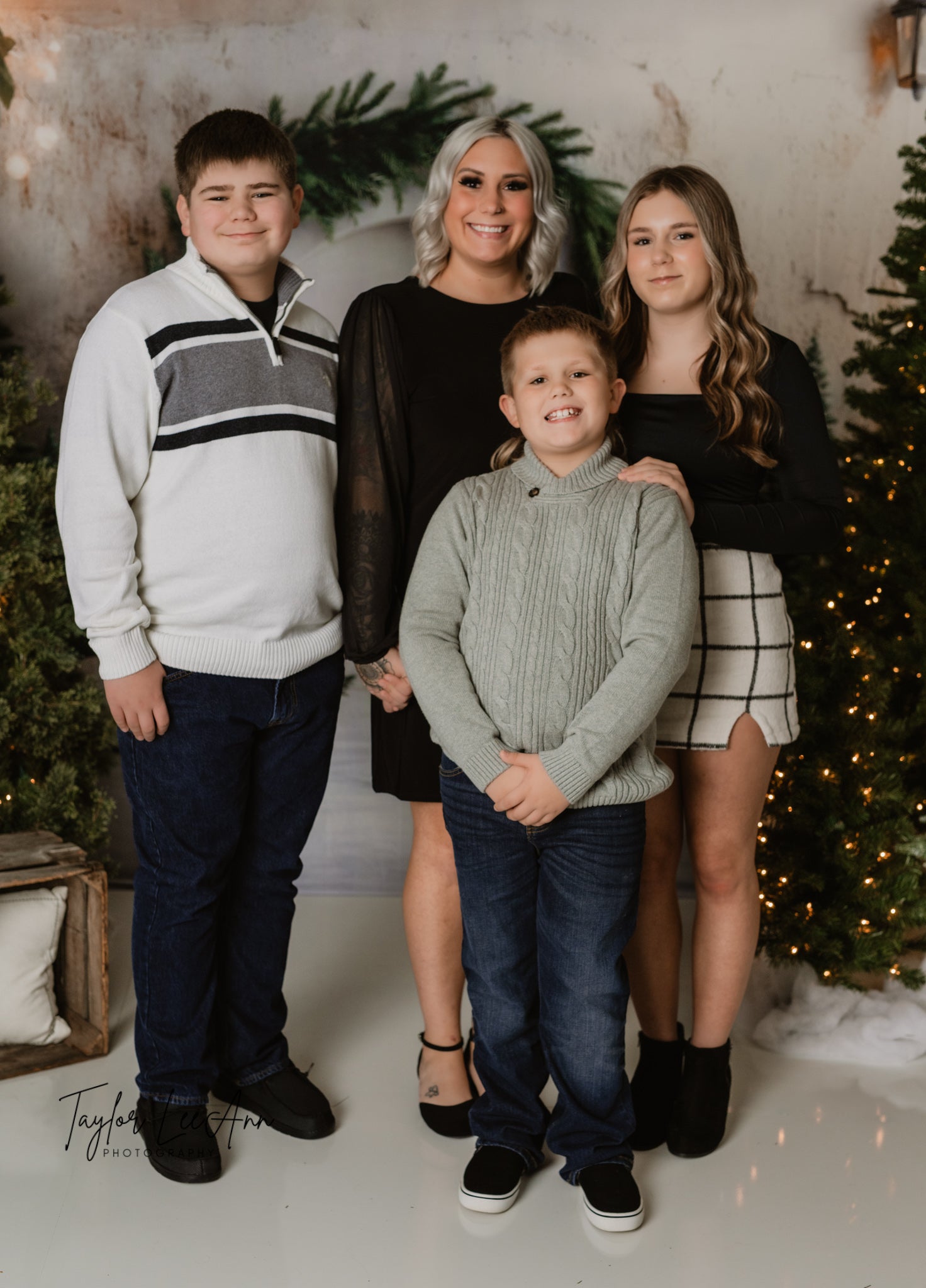 Toile de Fond Arche de Sapin de Noël pour Photographie RR8-347