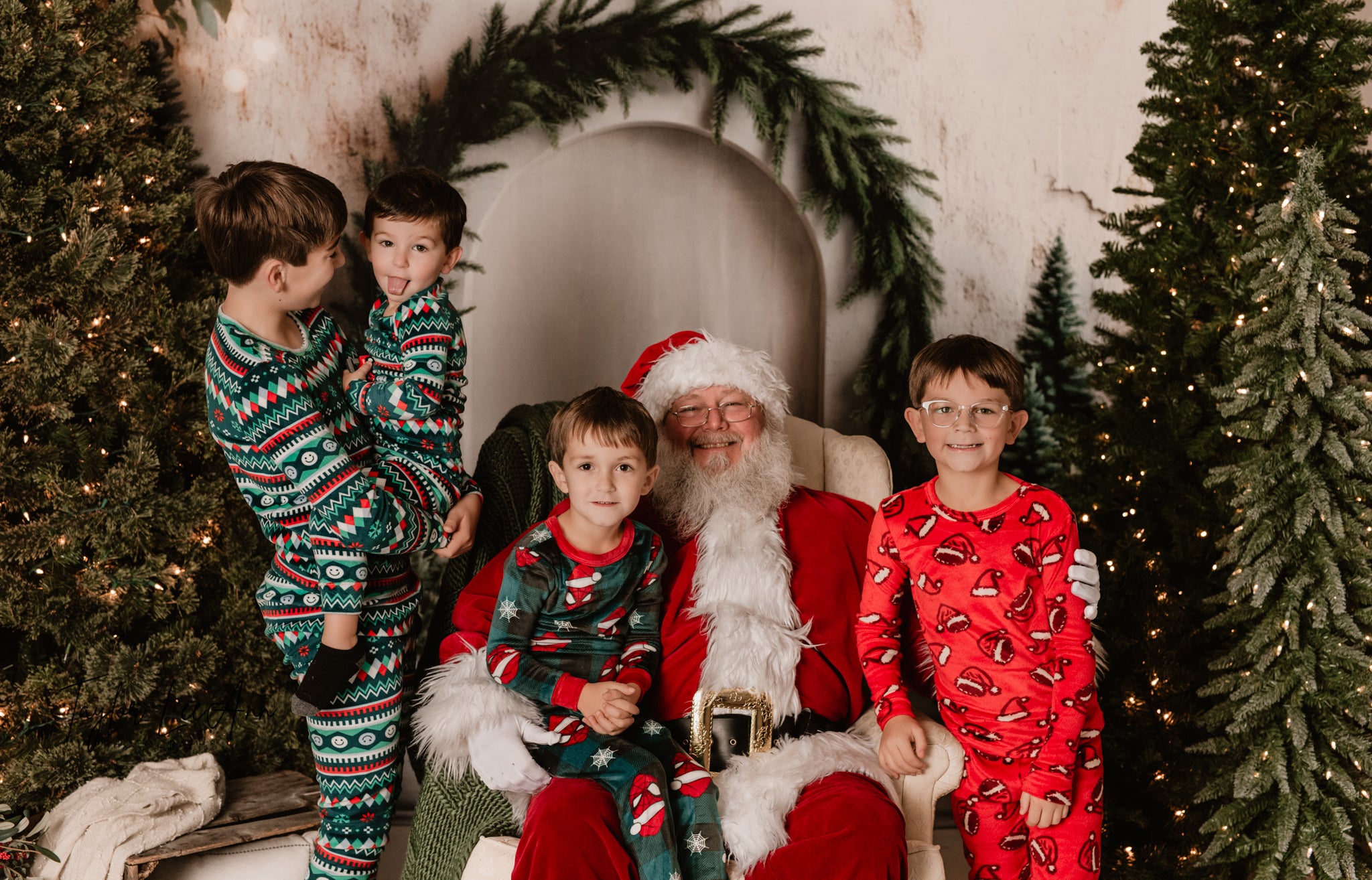 Toile de Fond Arche de Sapin de Noël pour Photographie RR8-347