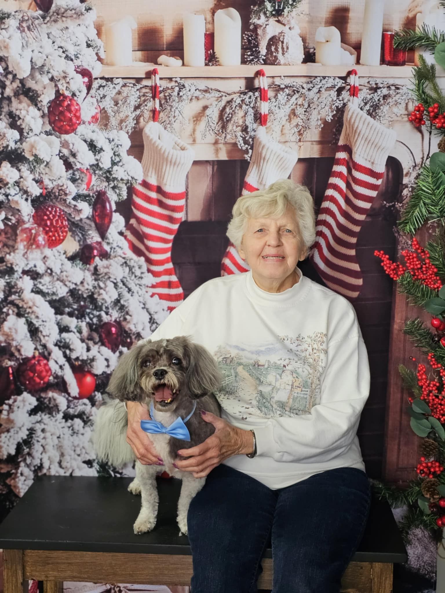 Toile de fond de décoration de cheminée d'arbre de Noël pour la séance photo KAT-63