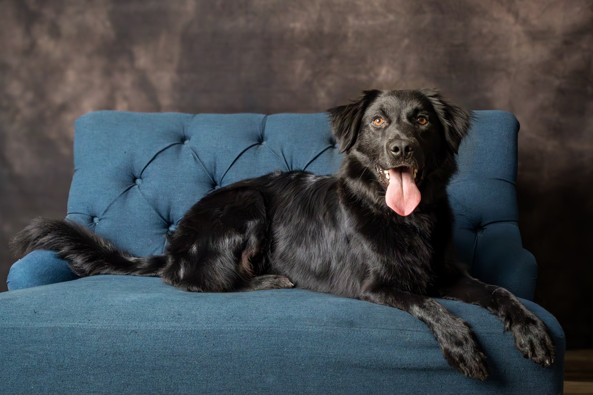 Toile de fond Texturée Abstraite Balayée Marron Vintage MR-2153