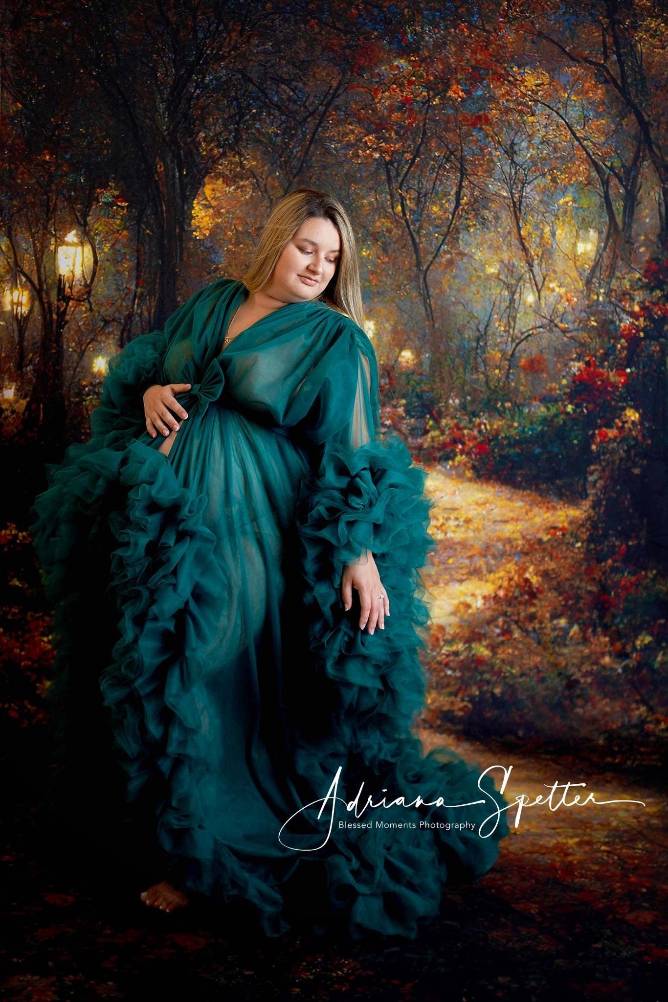 Fond Feuilles d'automne Chemin d'automne Lanternes Fond d'automne MRR10-54