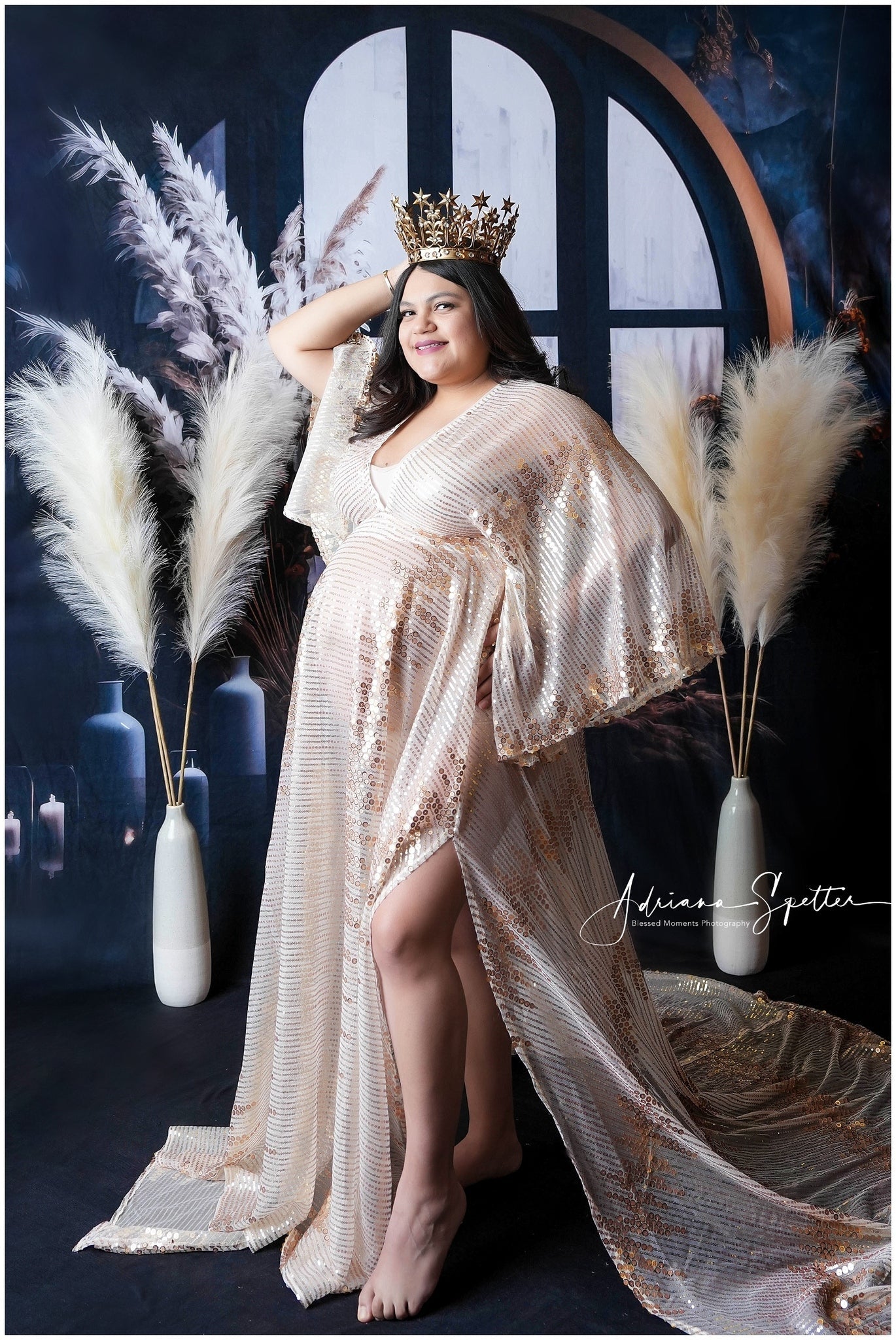 Fond bohème Fenêtre sombre Herbe de la pampa Fond bohème MRR10-53