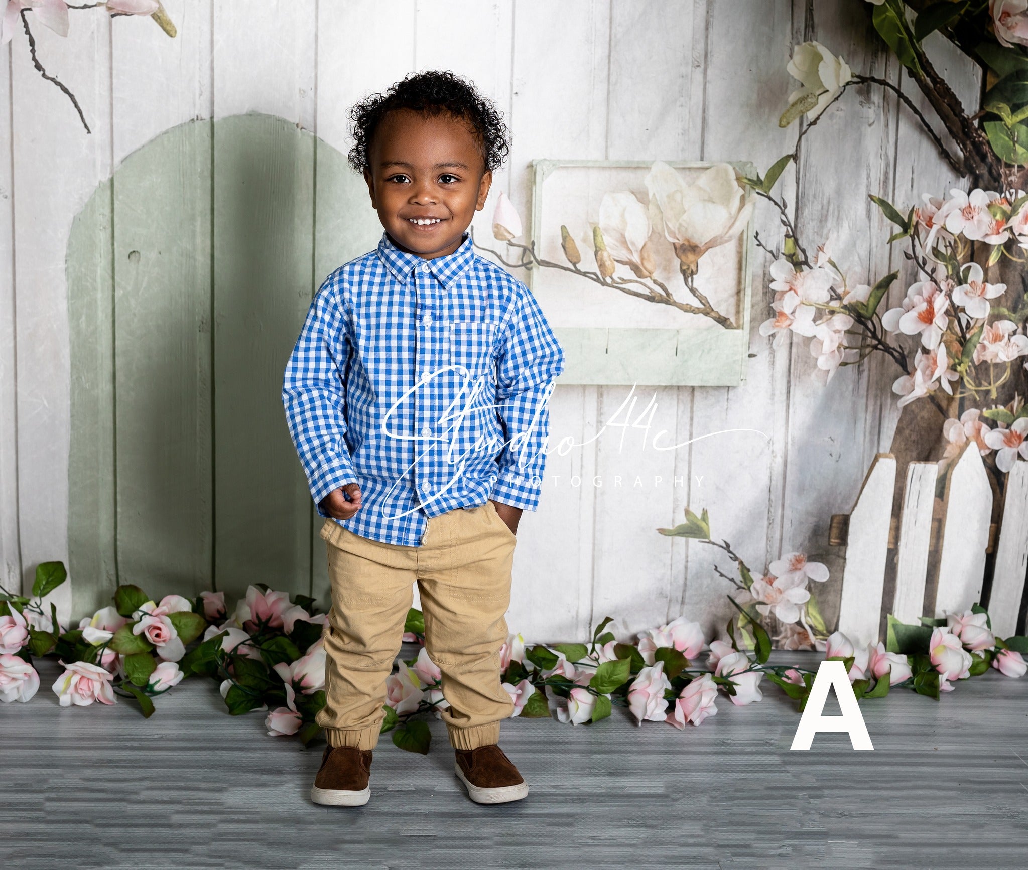 Toile de fond de Printemps Maison Rustique Fleurs Roses D1055