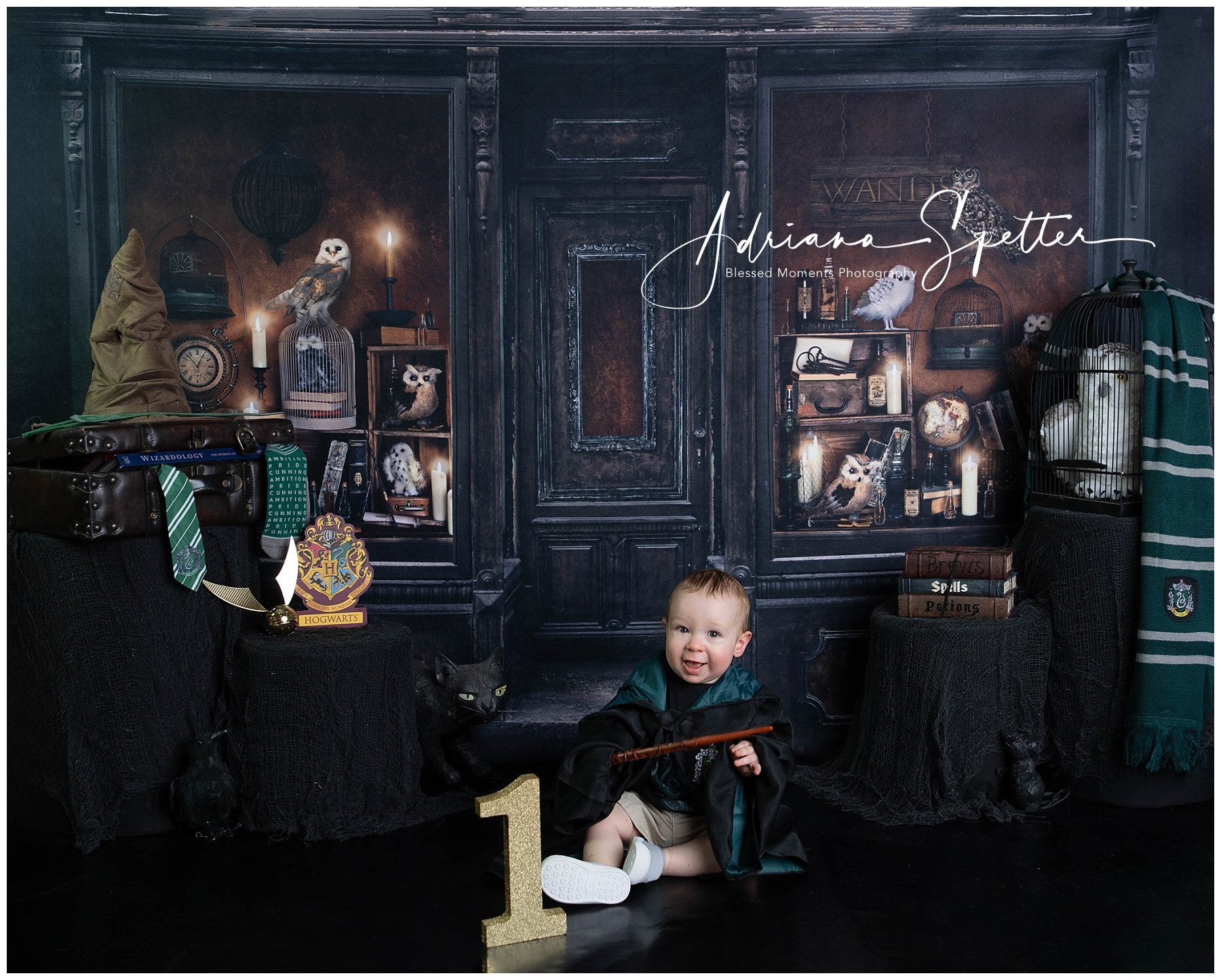 Fond d'Halloween Magique Boutique de sorcier Vitrine Fond photo d'Halloween MRR10-23