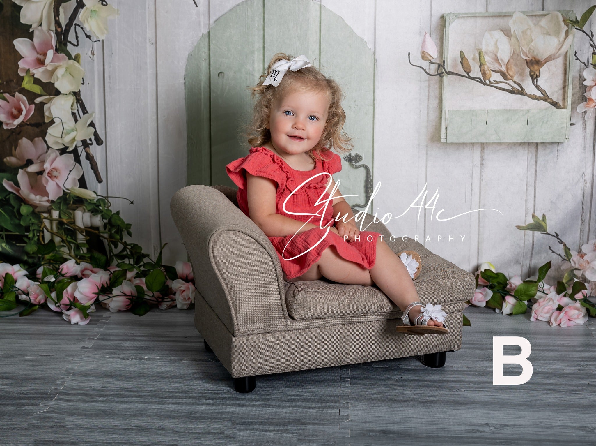 Toile de fond de Printemps Maison Rustique Fleurs Roses D1055