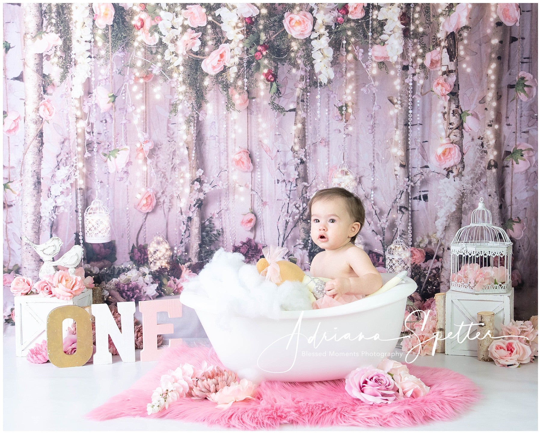 Toile de fond Fleurs Jardin Romantique Lumières Féeriques Saint-Valentin MRR9-116