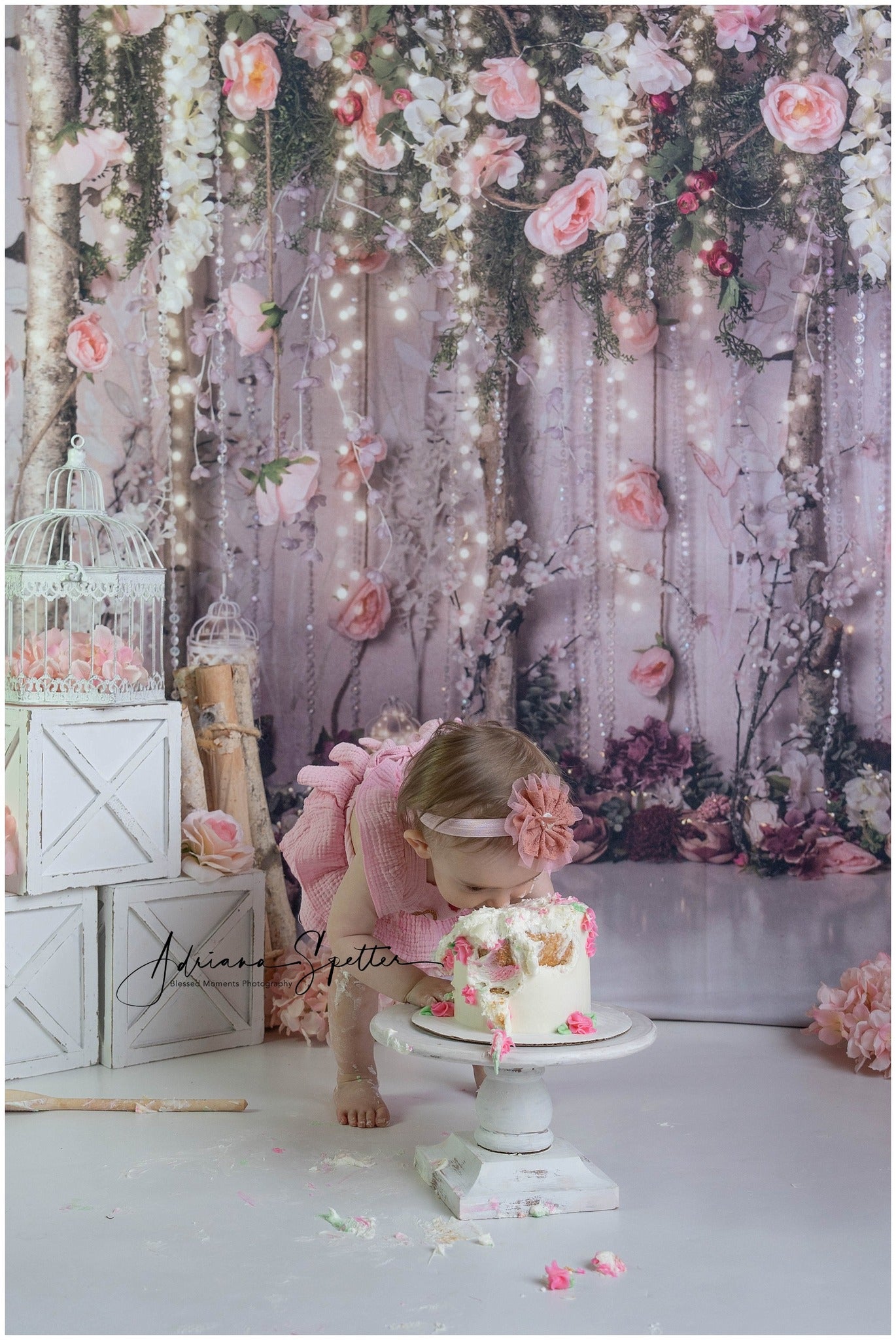 Toile de fond Fleurs Jardin Romantique Lumières Féeriques Saint-Valentin MRR9-116