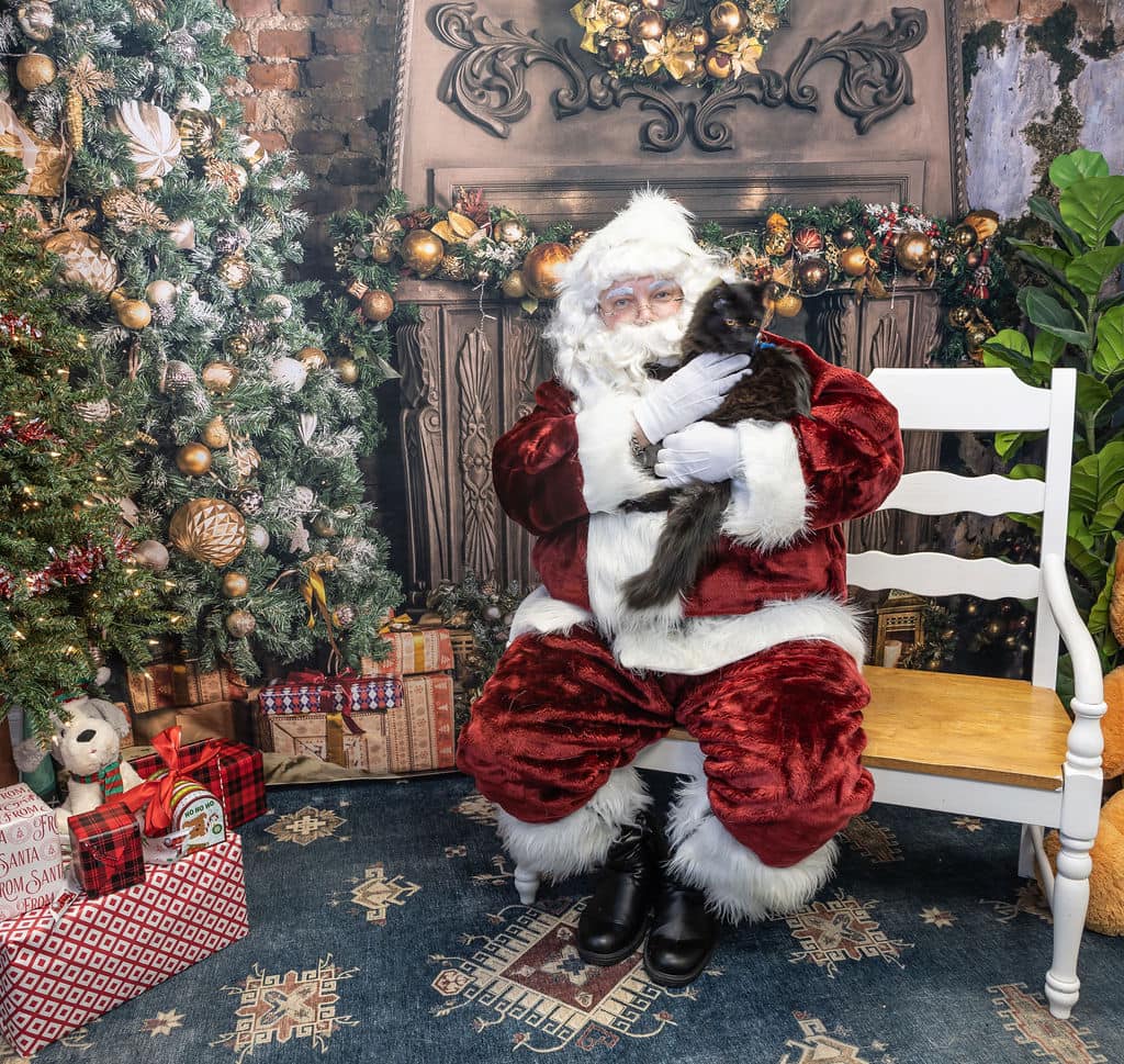 Arbre de Noël Cadeaux Cheminée Photo Booth Toile de Fond KAT-31