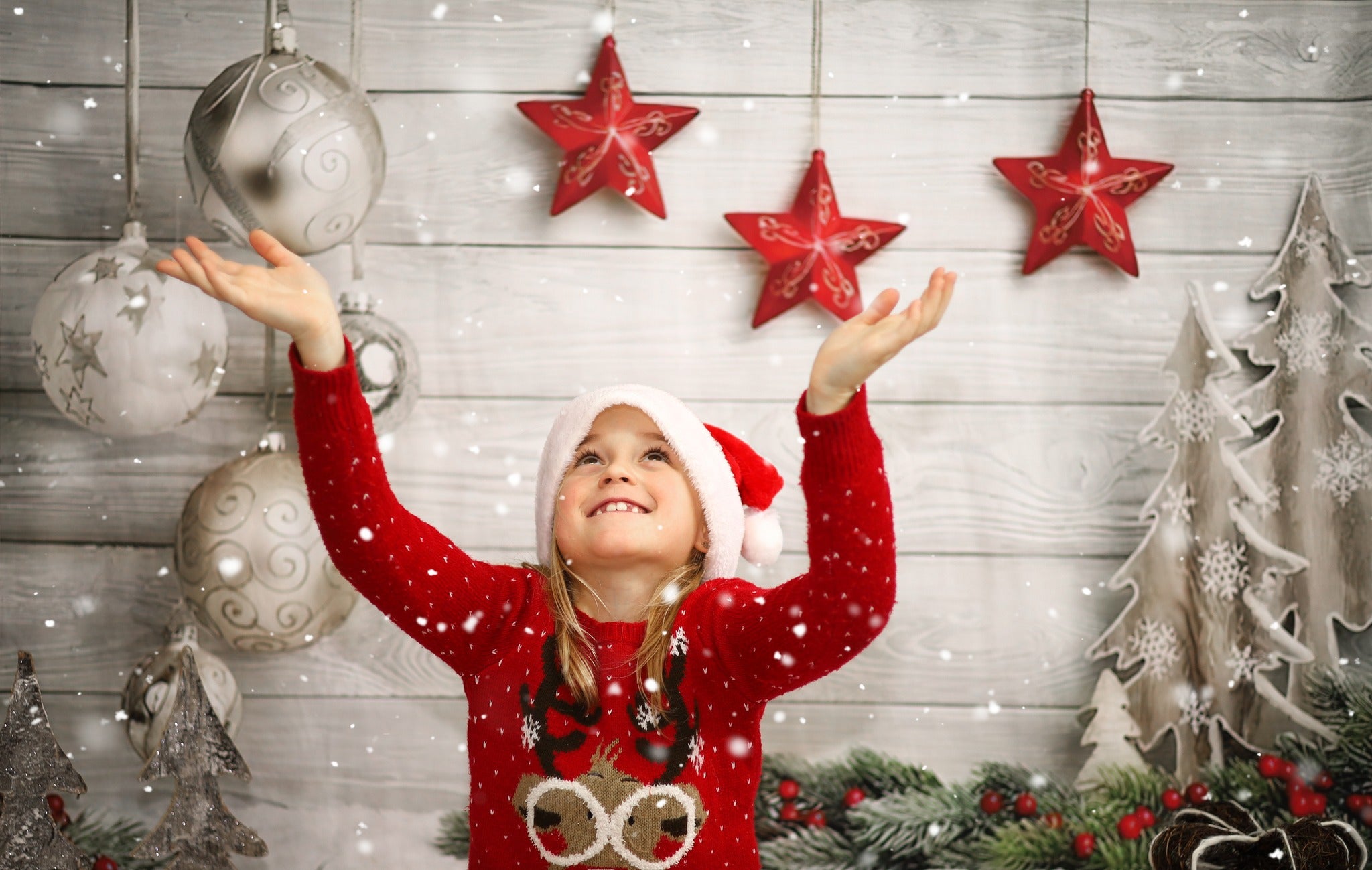 Toile de fond de Noël Photographie de plancher en bois LV-866