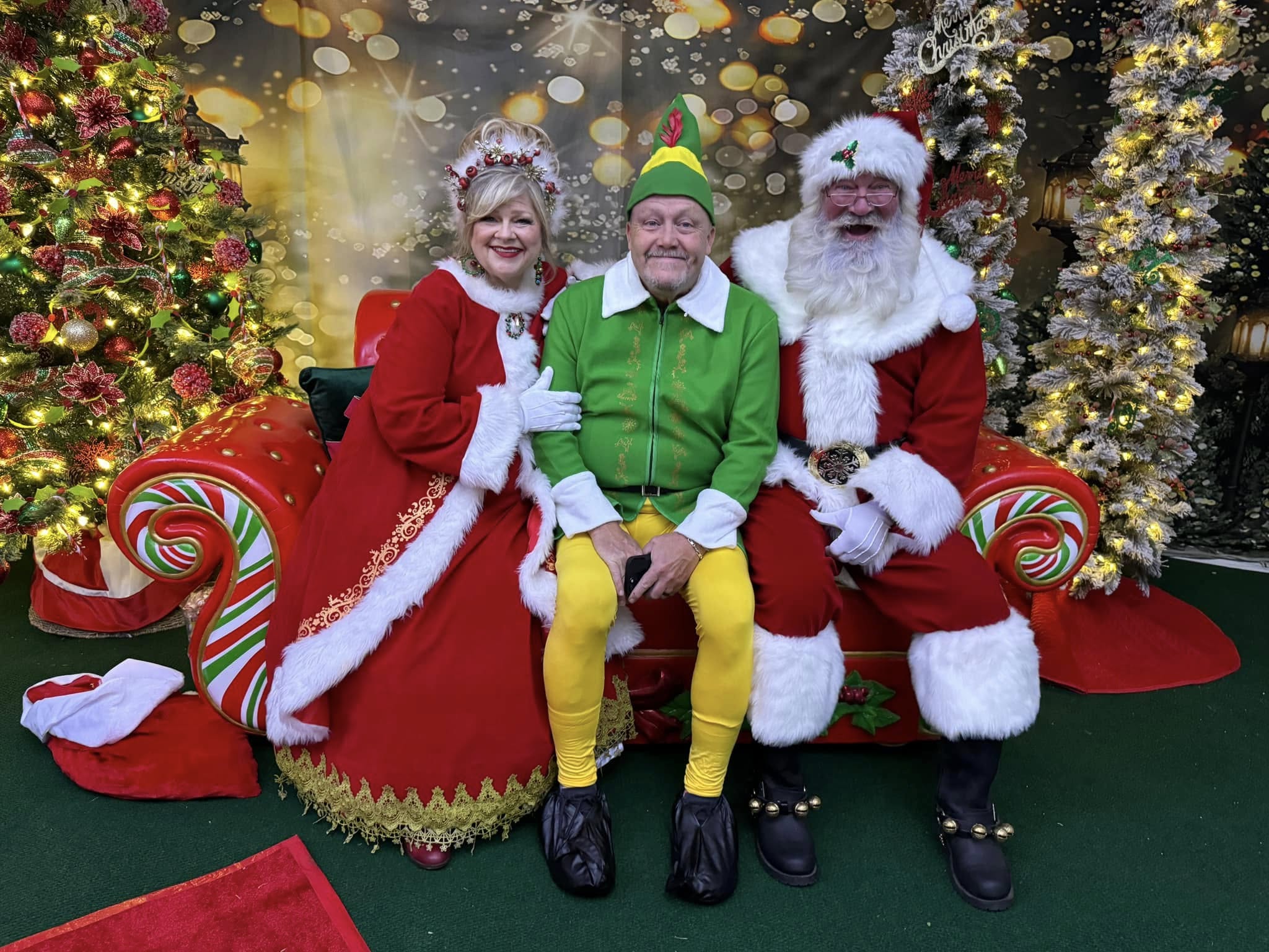 Toiles de Fond des Arbres de Noël Extérieurs Lumières Clignotant G-1440