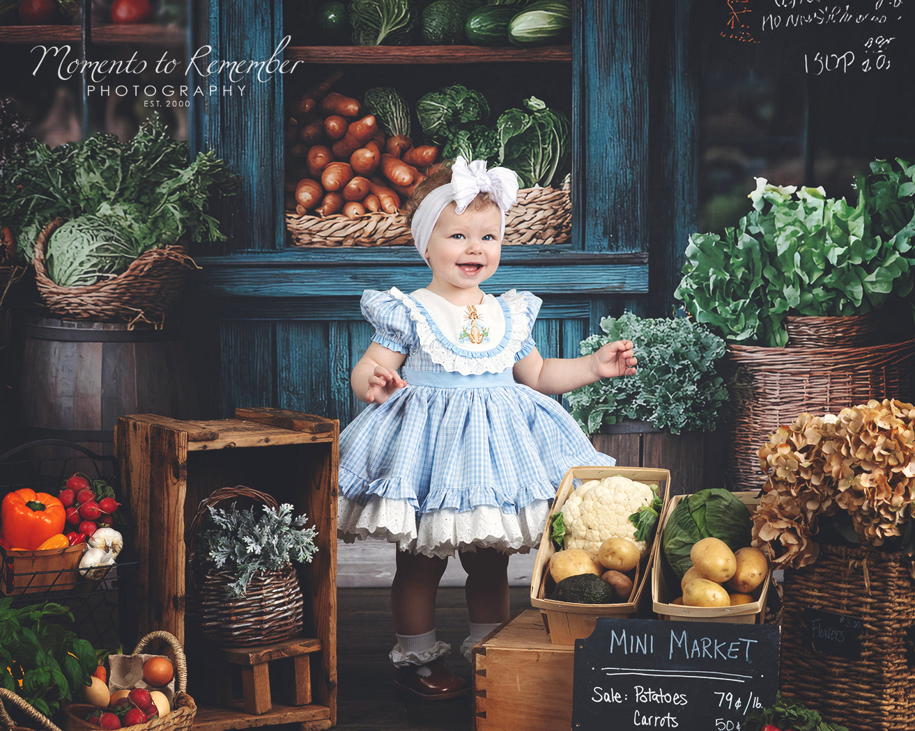 Fond Photo Printemps Fenêtre Marché Rustique LXX1-153