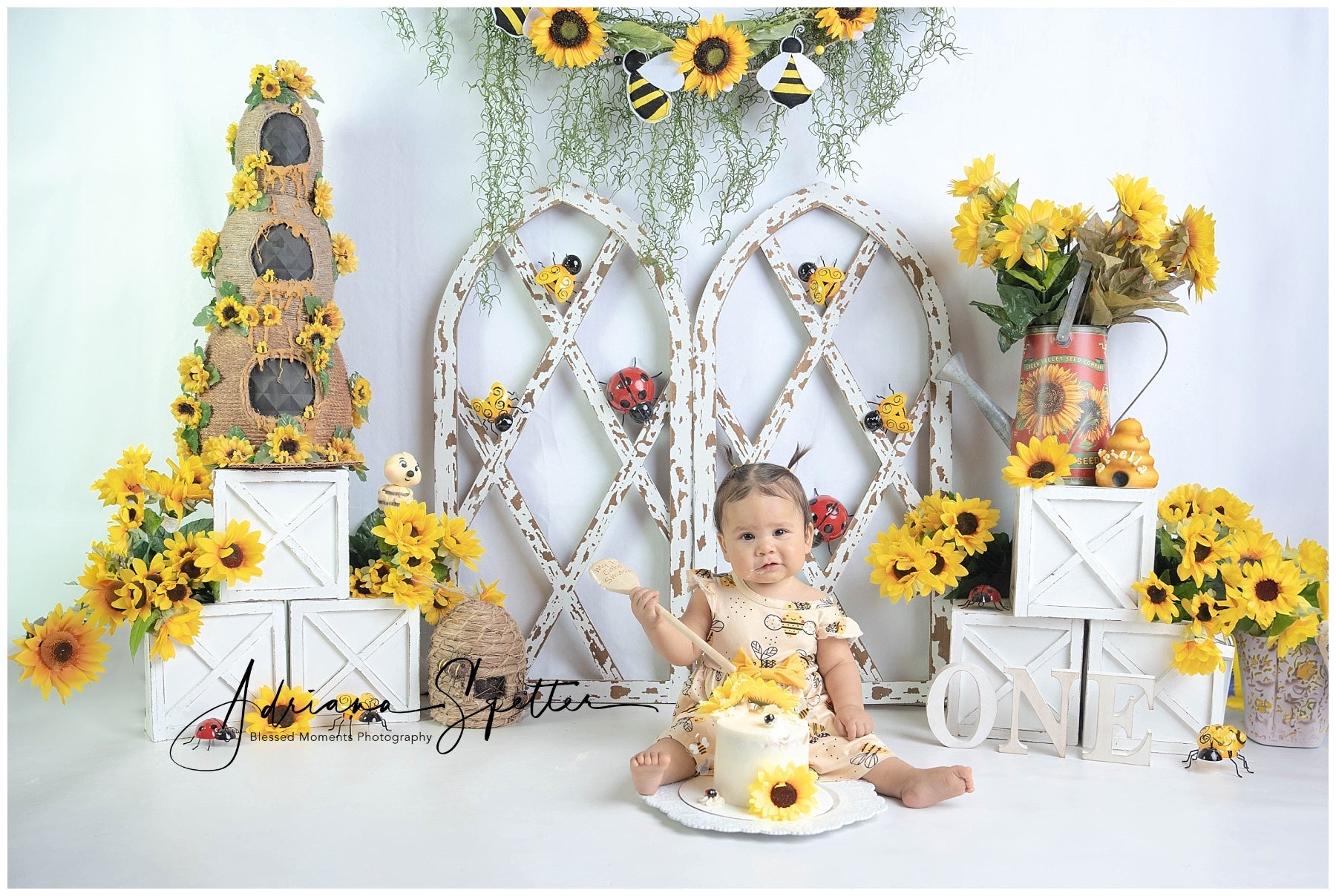 Toile de fond Enfants Jardin Rustique Tournesols Nouveau-né Photo MRR9-112