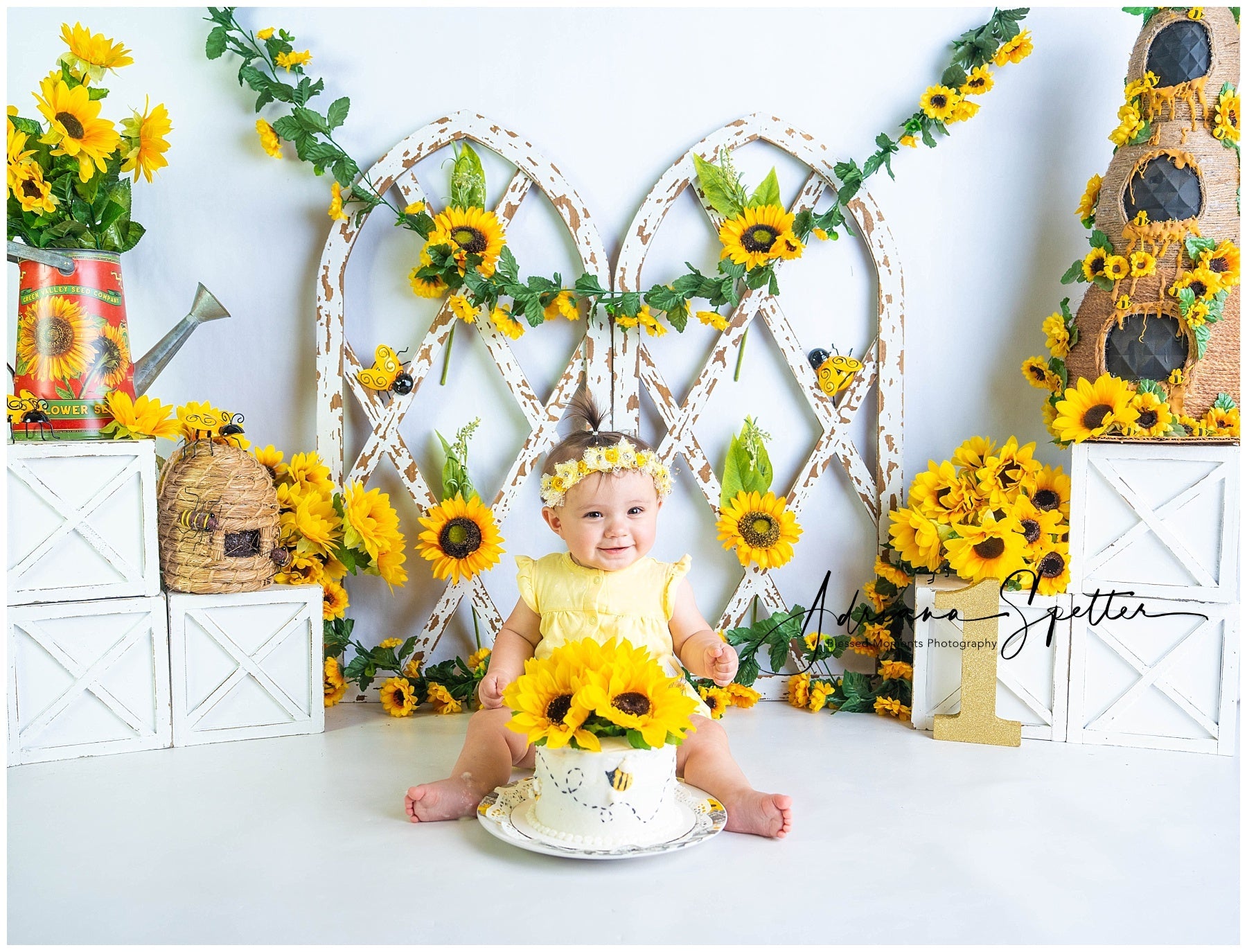 Toile de fond Enfants Jardin Rustique Tournesols Nouveau-né Photo MRR9-112