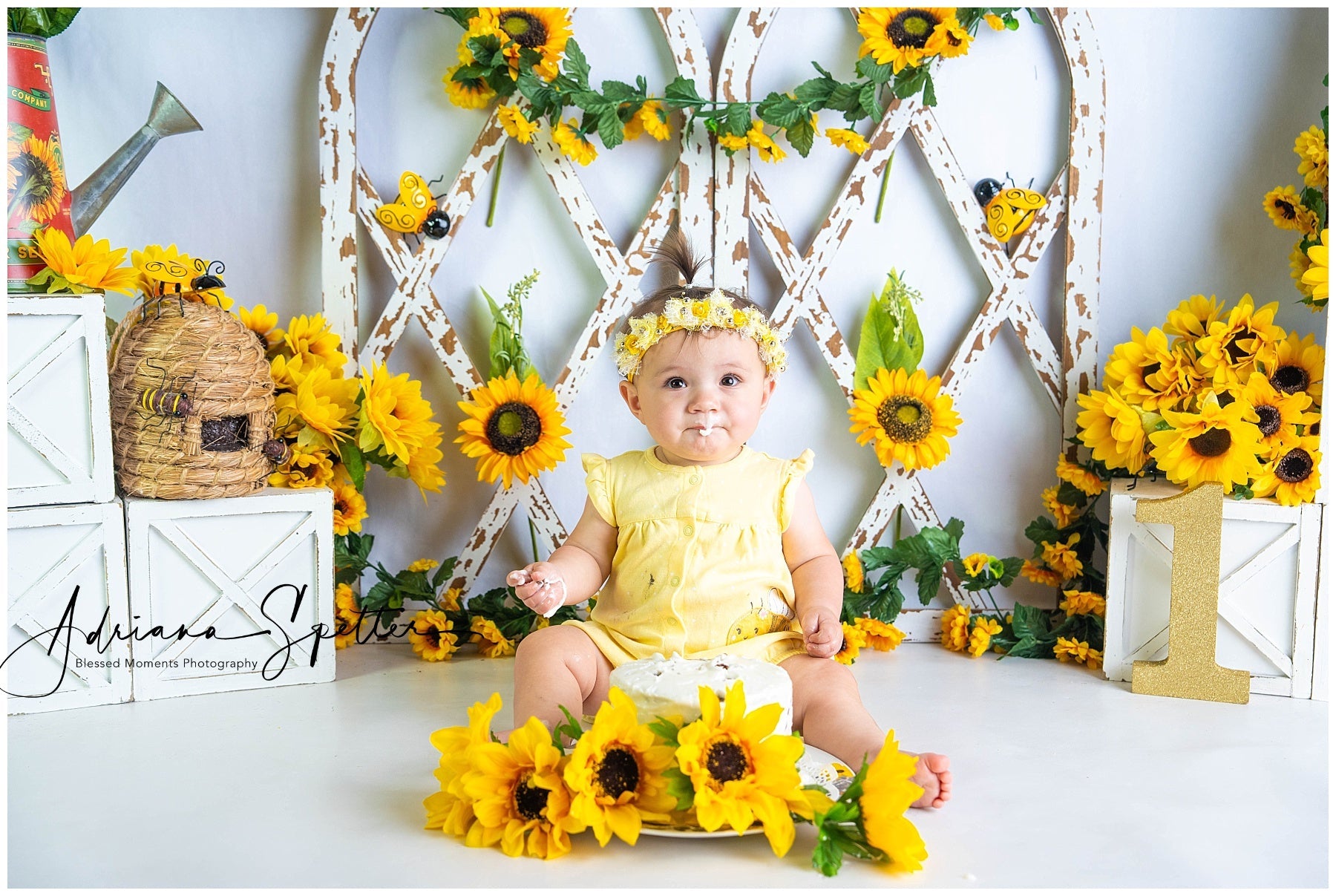 Toile de fond Enfants Jardin Rustique Tournesols Nouveau-né Photo MRR9-112