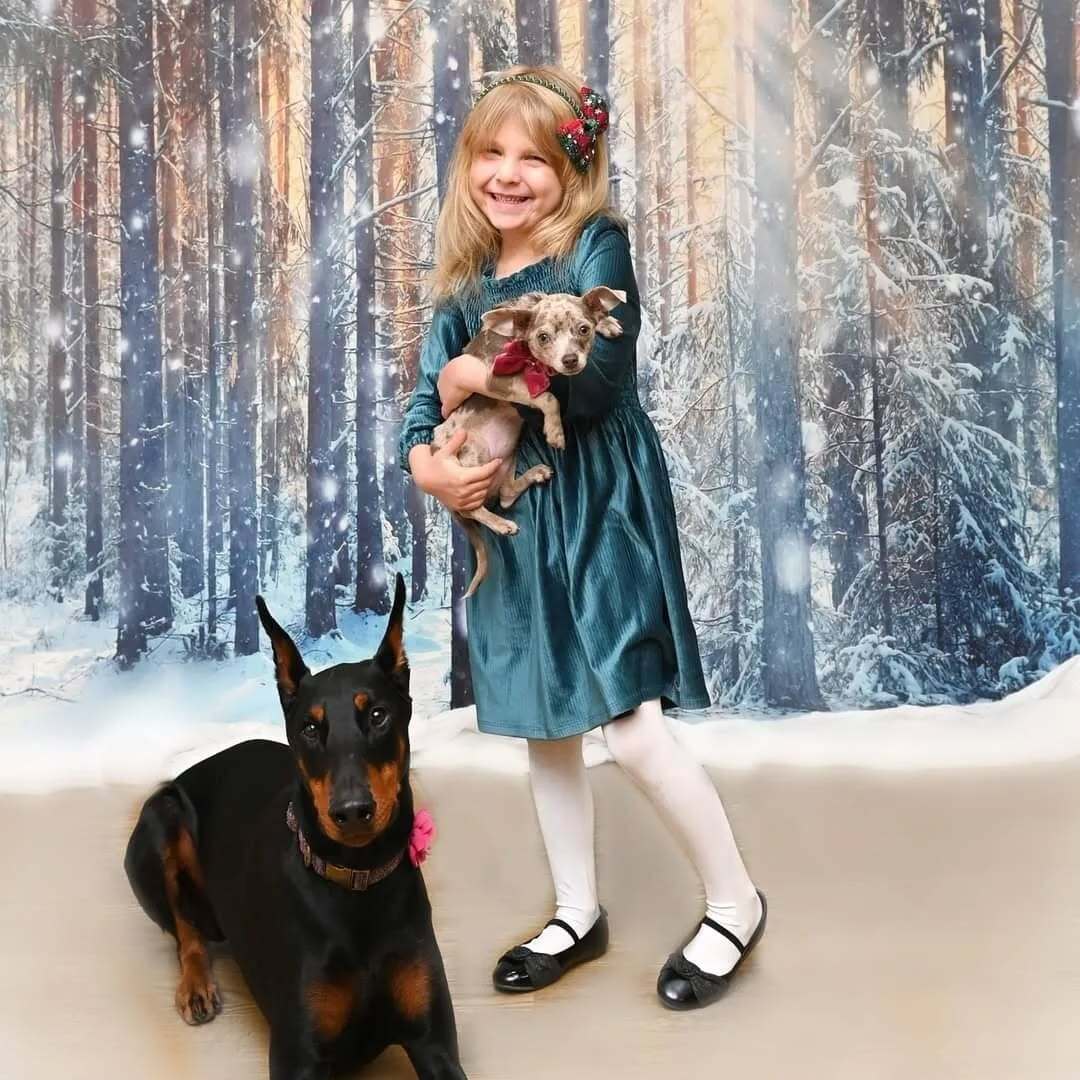 Toile de Fond de Noël de Scène de Neige de Forêt Gx-1069