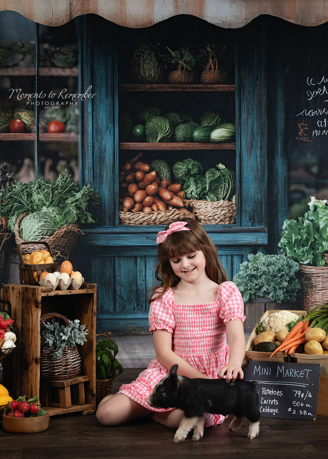 Fond Photo Printemps Fenêtre Marché Rustique LXX1-153