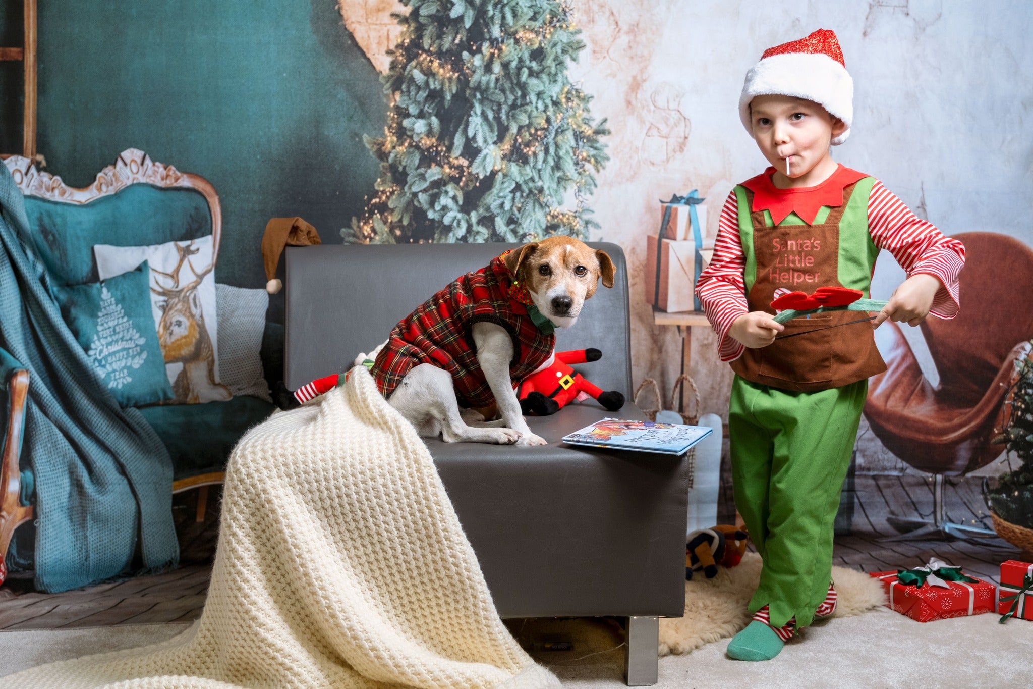 Toile de Fond Émeraude Salle décorée Arbre de Noël Gx-1098