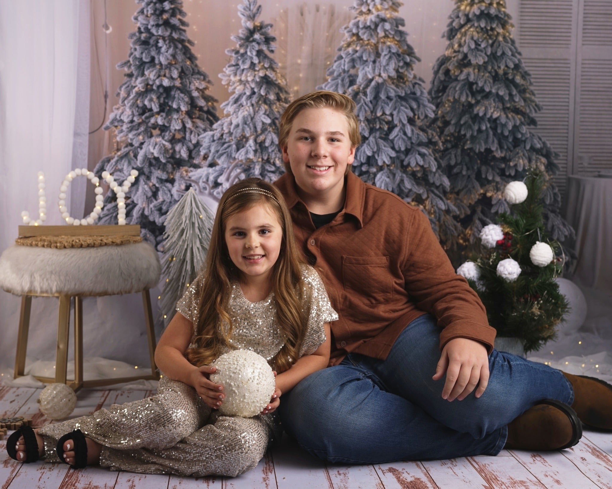 Arbre de Noël Décoration Elan Toile de fond Photographie M10-06