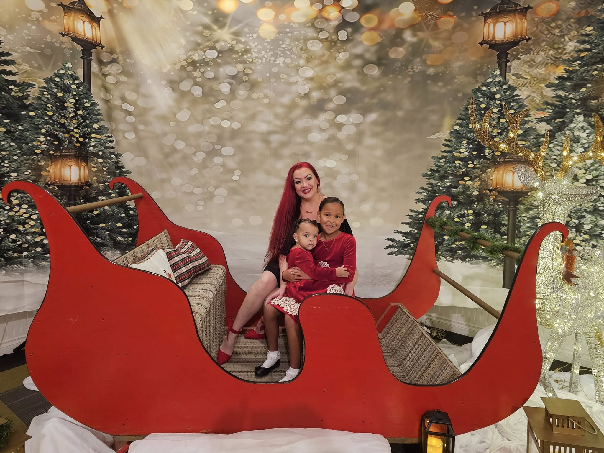 Toiles de Fond des Arbres de Noël Extérieurs Lumières Clignotant G-1440