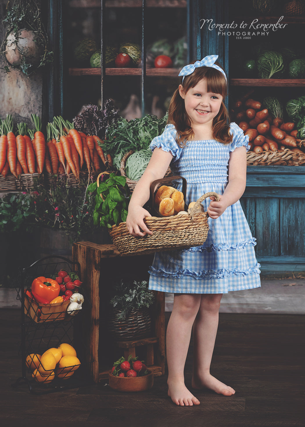 Fond Photo Printemps Fenêtre Marché Rustique LXX1-153