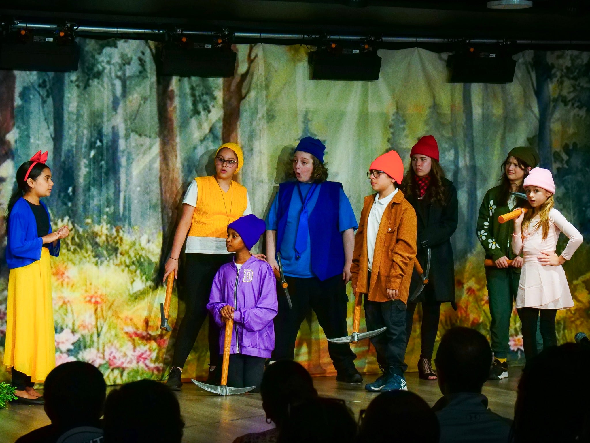 Toiles de fond de théâtre personnalisées CT1