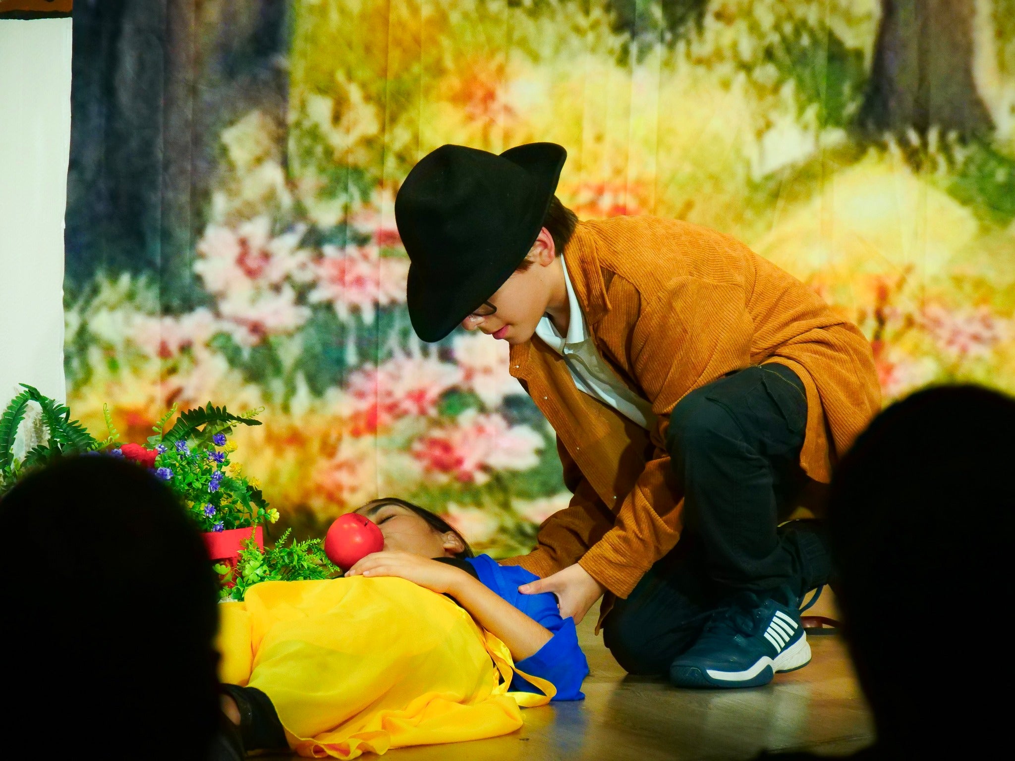 Toiles de fond de théâtre personnalisées CT1