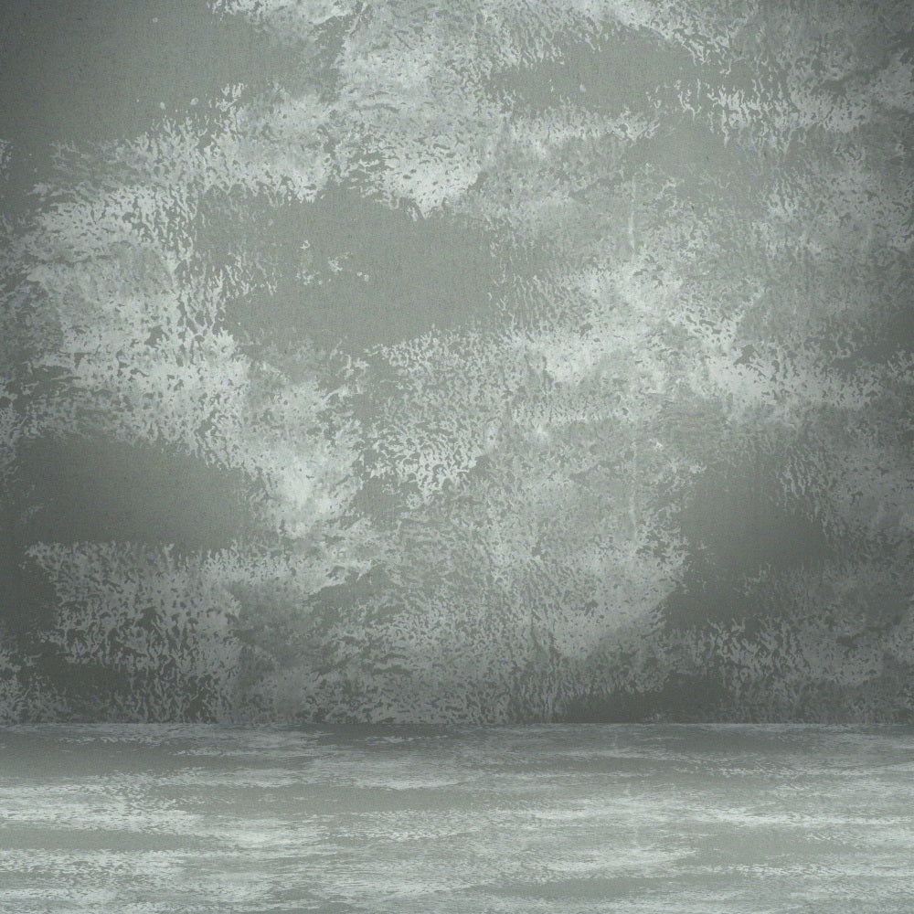 Toile de fond Portrait Gris Texture Sombre Mur BRP-11-617