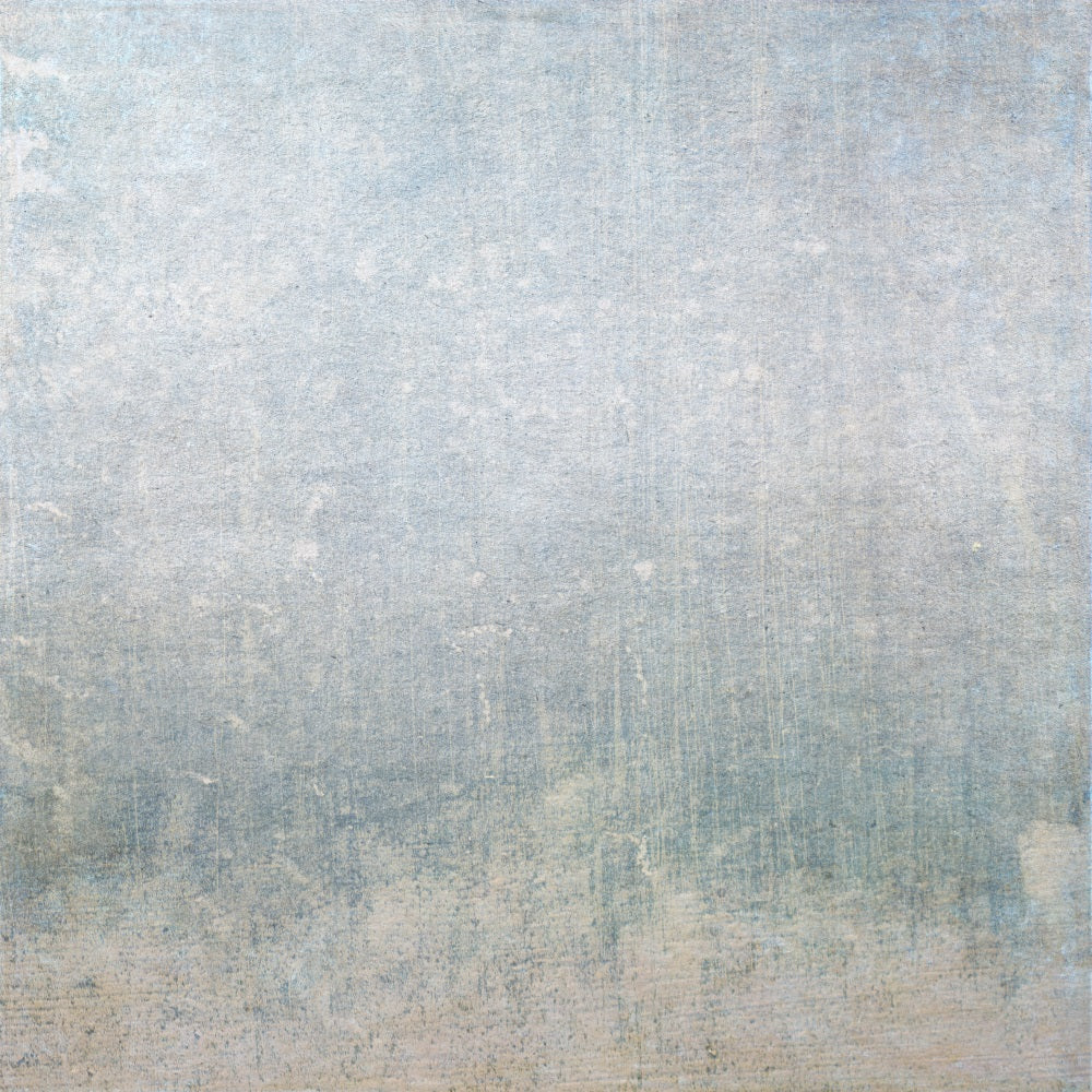 Toile de fond Portrait Rétro Bleu Mur Texture BRP-11-623