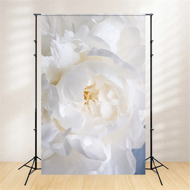 Toile de fond Floral Pivoine Blanche Fleurie BRP1-385