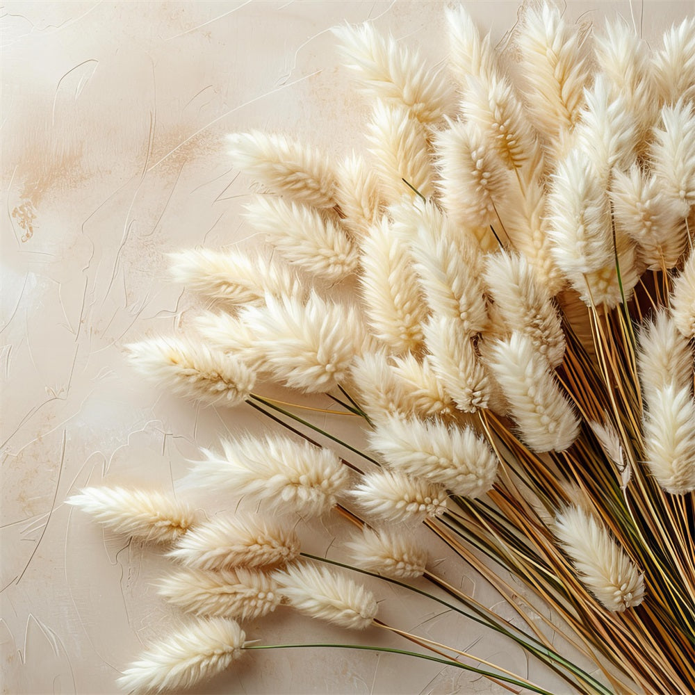 Toile de fond Style minimaliste bohème pampas BRP10-71