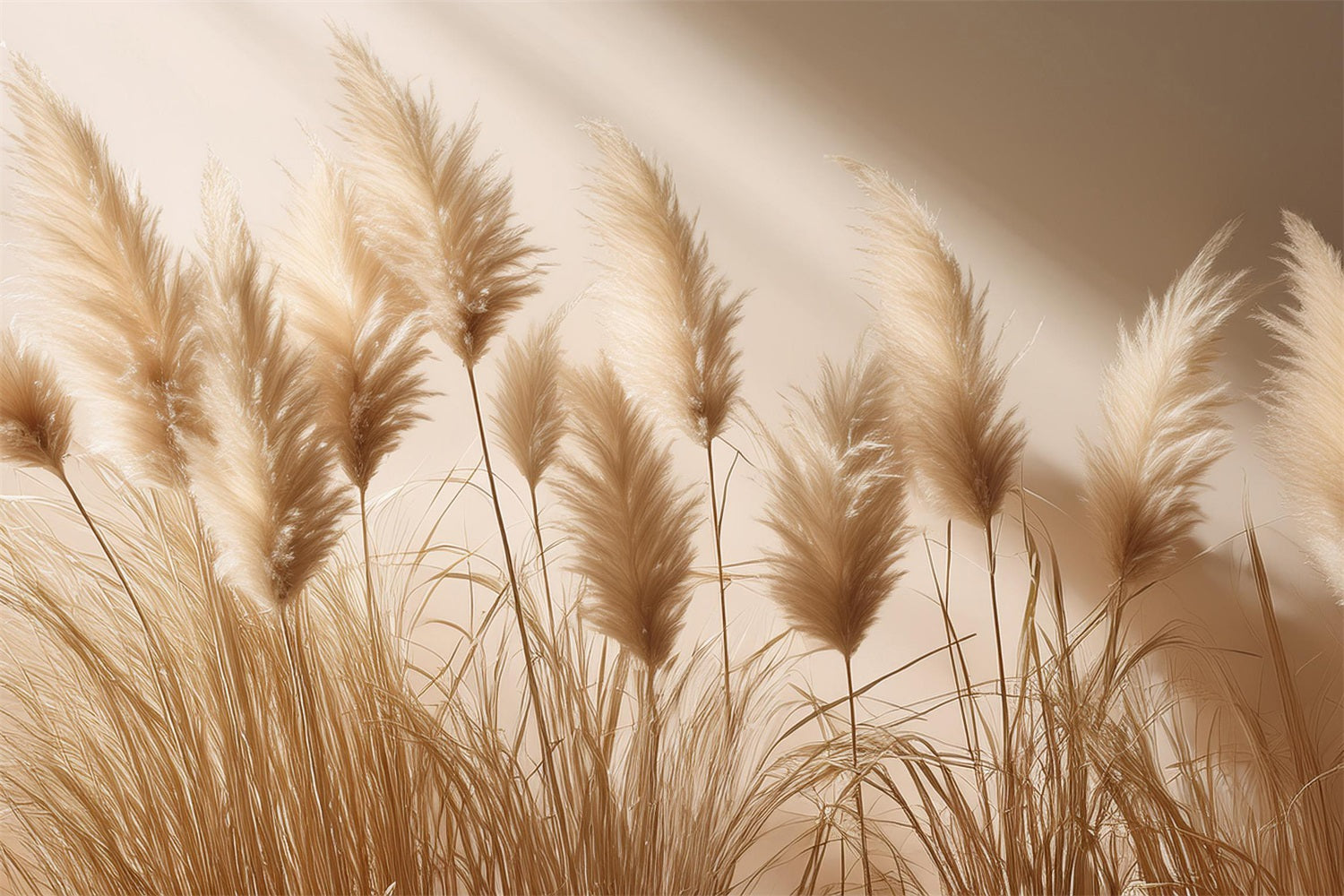 Toile de fond Décor doux pampas bohème simple BRP10-72