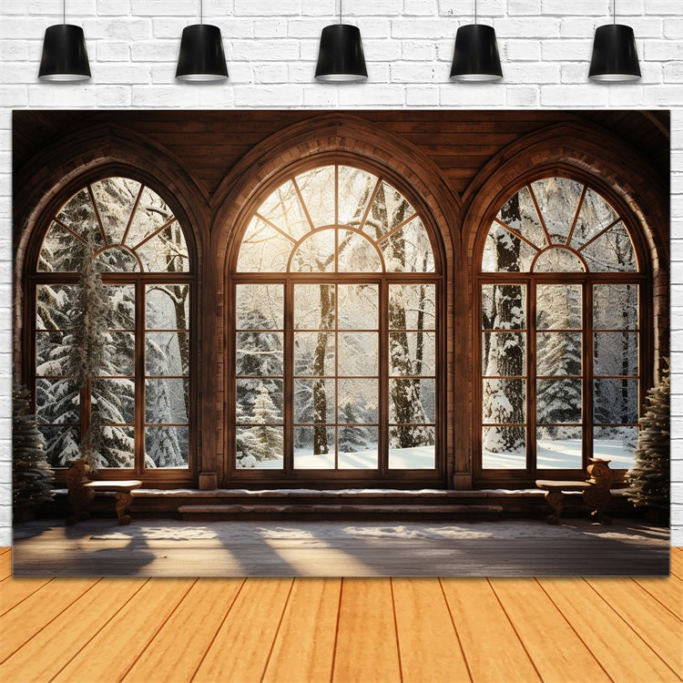 Toile de fond Hiver Scènes Fenêtre Arquée en Bois Ensoleillée BRP11-271
