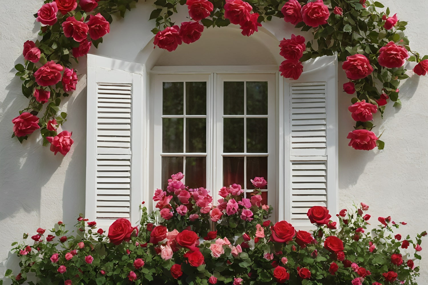 Toile de fond Saint-Valentin Fenêtre Blanche Décorée Roses Cœur BRP11-415