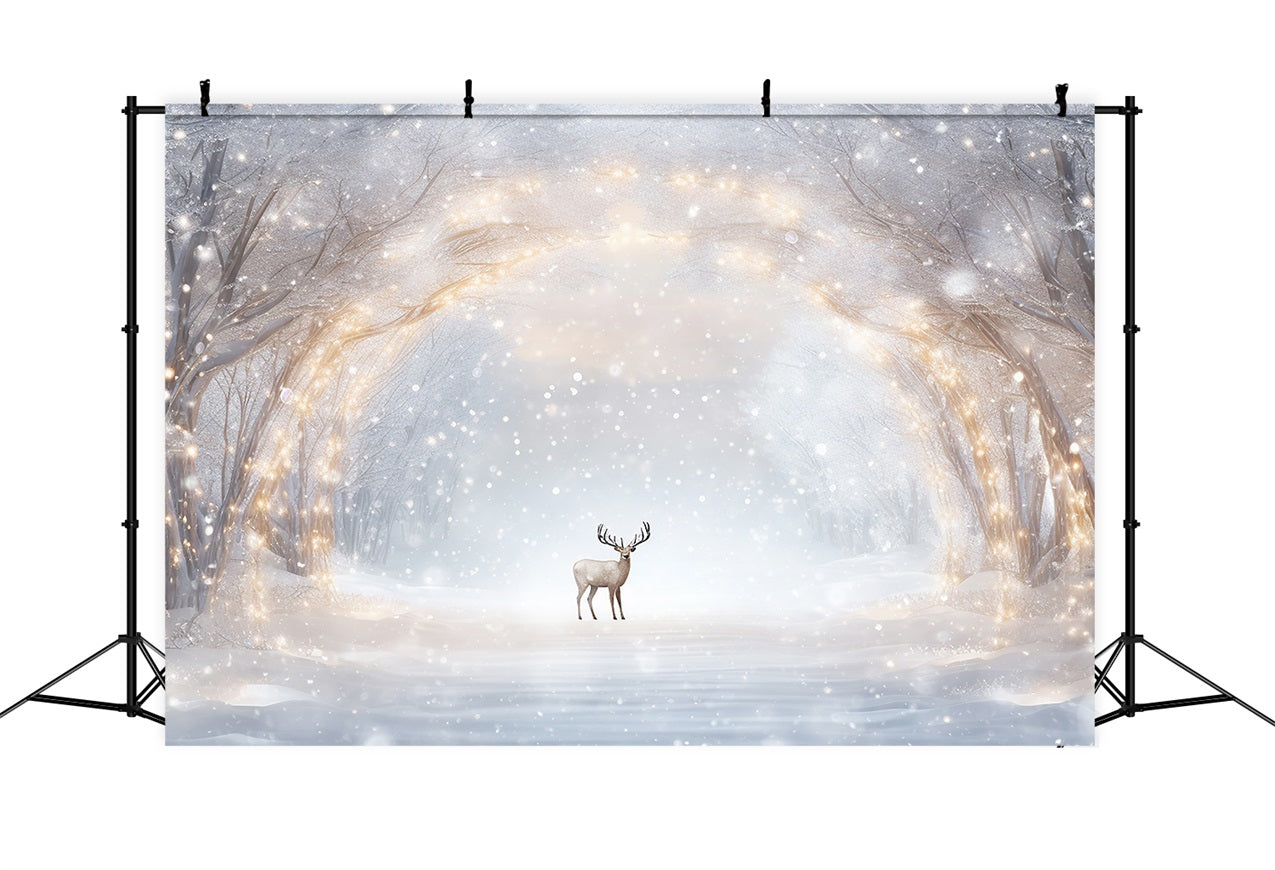 Toile de fond Hiver Scène Chemin Enneigé Lueur Rennes BRP11-477