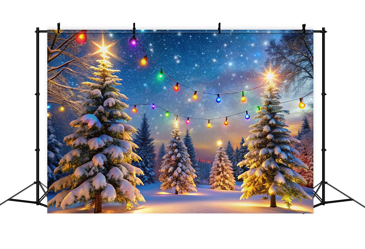 Toile de fond Hiver Scènes Lumières Multicolores Arbres Enneigés BRP11-485