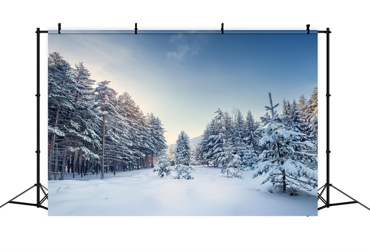Toile de fond Hiver Paysage Serein de Pins BRP11-490