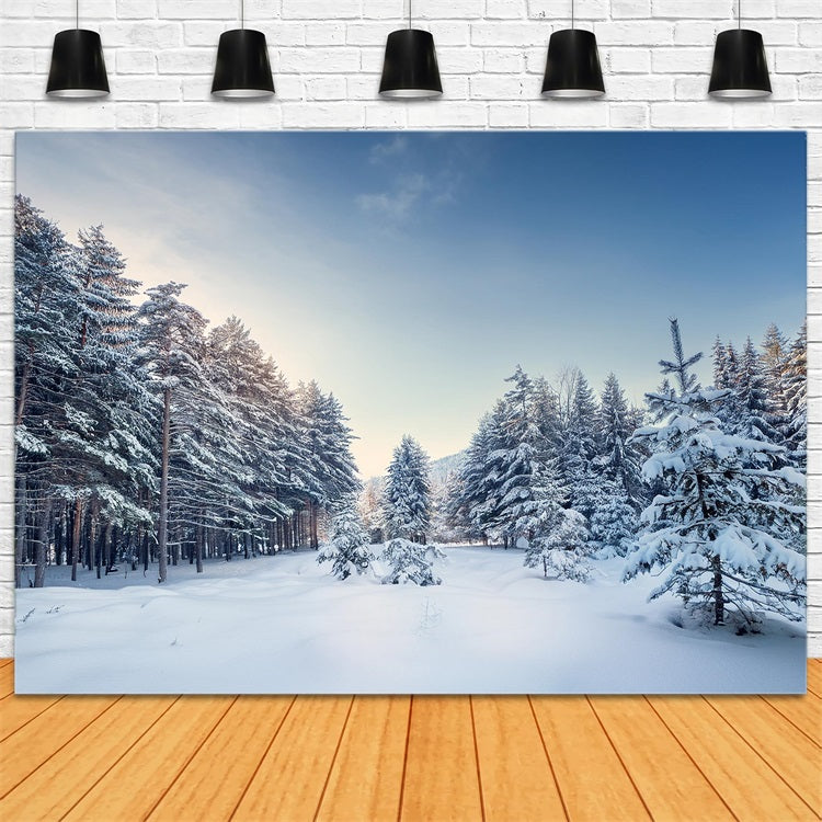 Toile de fond Hiver Paysage Serein de Pins BRP11-490