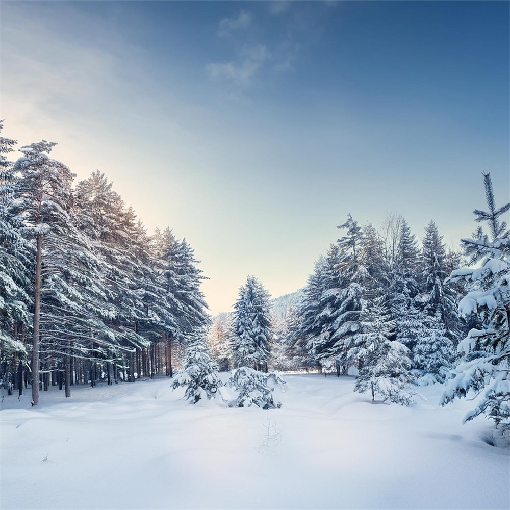 Toile de fond Hiver Paysage Serein de Pins BRP11-490