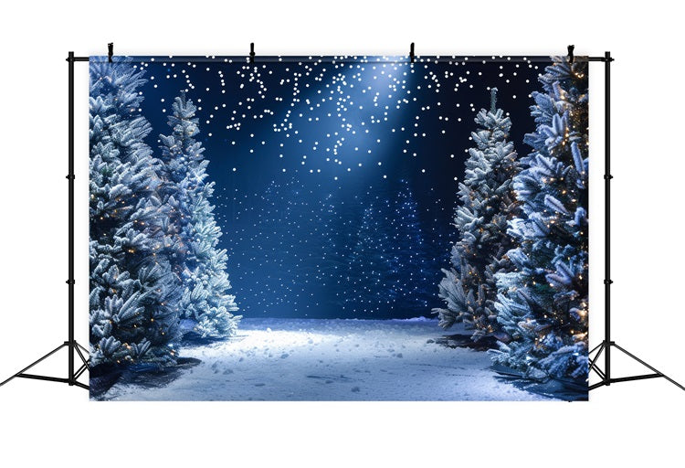 Toile de fond Hiver Merveille Nuit Enneigée Photographie BRP11-491