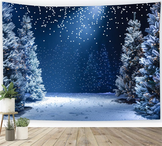 Toile de fond Hiver Merveille Nuit Enneigée Photographie BRP11-491