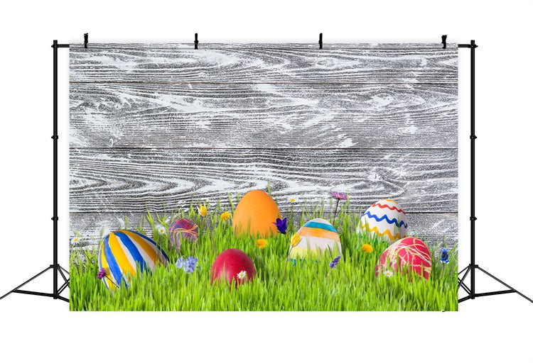 Toile de fond Pâques Idées Prairie Œufs Colorés BRP12-424