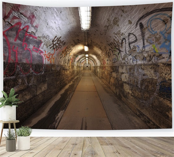 Toile de fond Architecture Tunnel Graffiti Photographie BRP12-669
