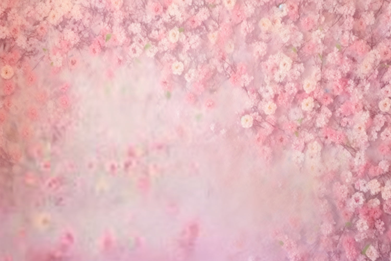 Fond Photo Fleur Douce Fleur de Pêche Photography BRP2-65